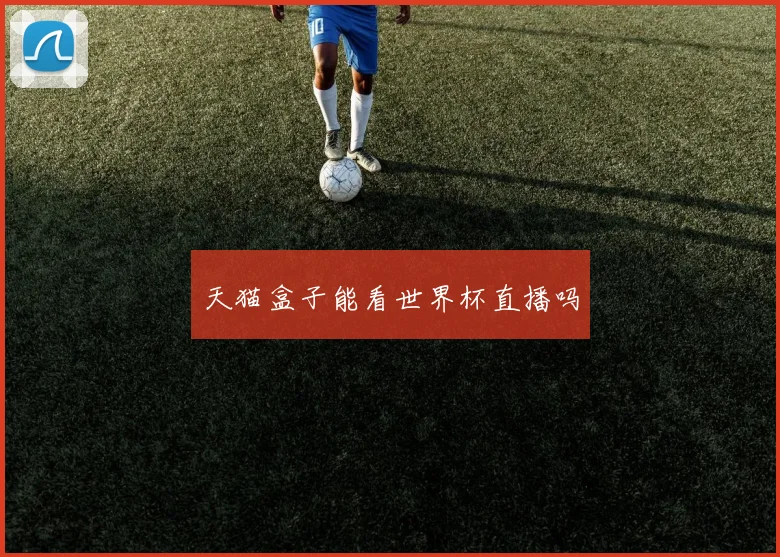 天猫盒子能看世界杯直播吗