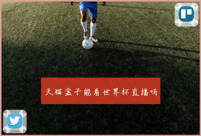 天猫盒子能看世界杯直播吗