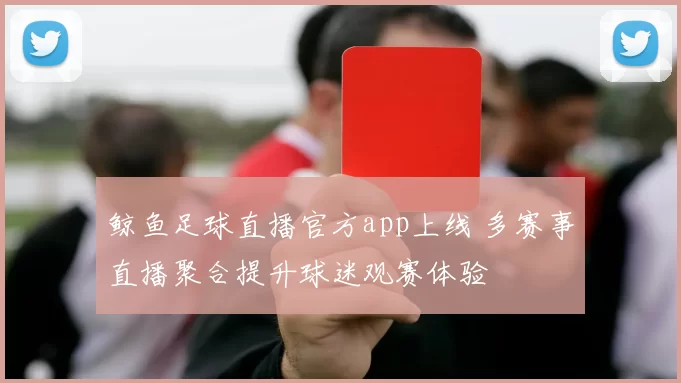 鲸鱼足球直播官方app上线 多赛事直播聚合提升球迷观赛体验
