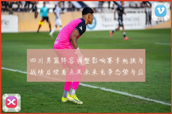 四川男篮阵容调整影响赛季轮换与战绩后续看点及未来竞争态势与应对策略
