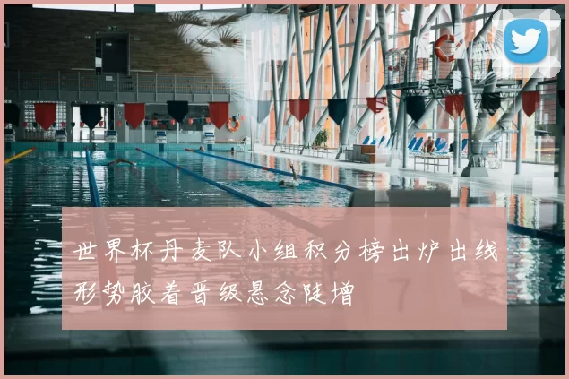 世界杯丹麦队小组积分榜出炉出线形势胶着晋级悬念陡增